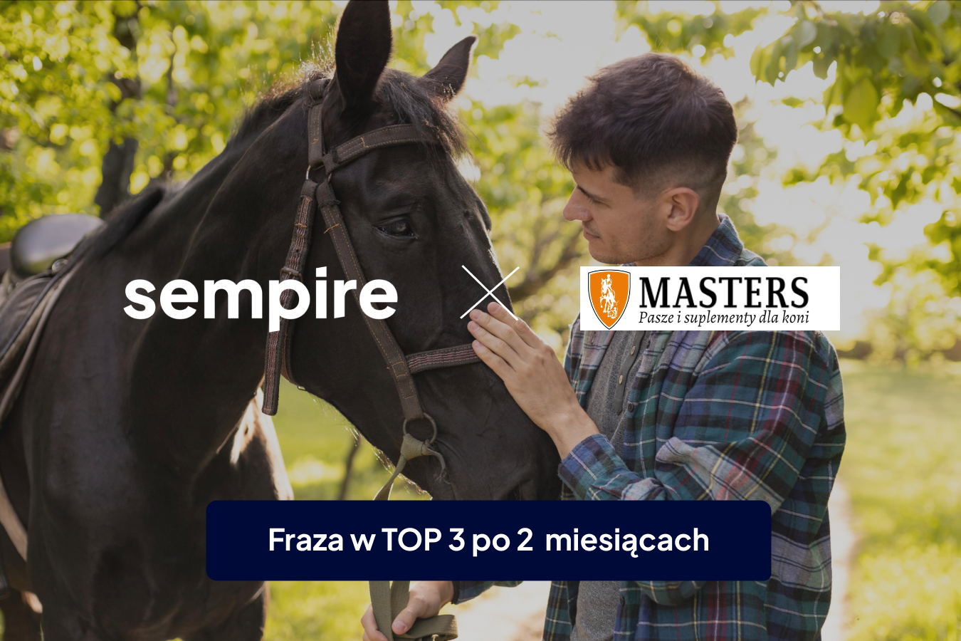 Sempire × Masters Polska — case study SEO sklepu