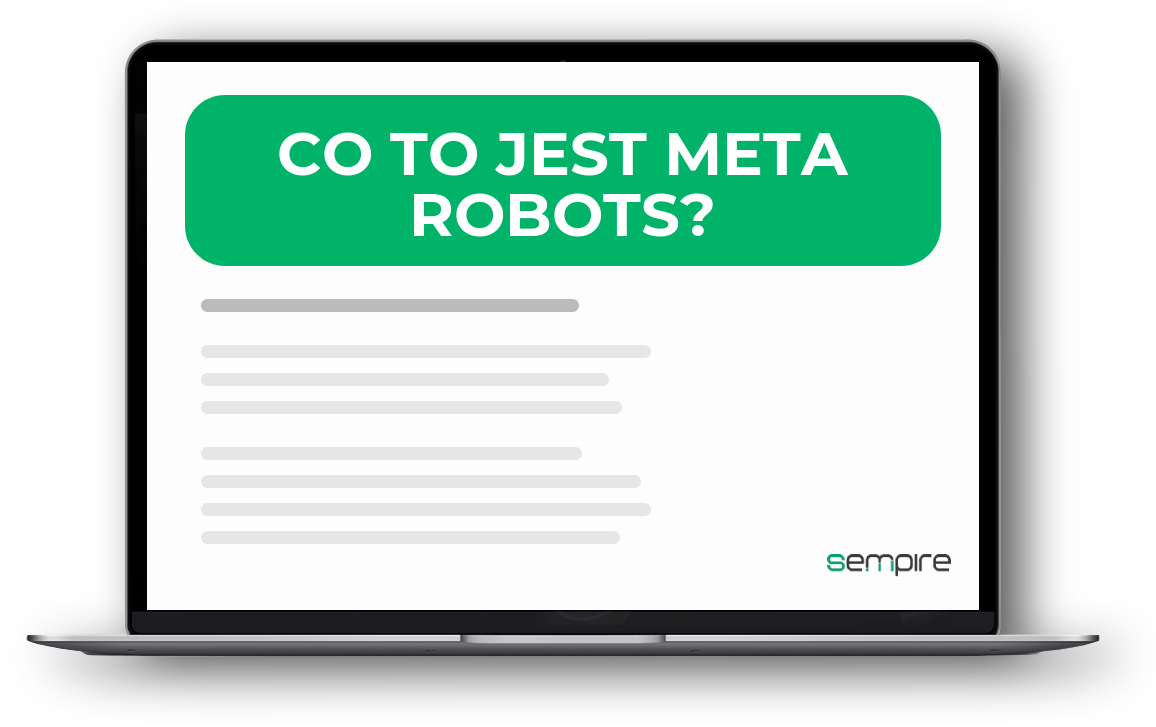 Co to jest Meta Robots?
