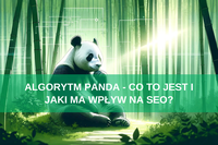 Google Panda – co to jest? Wpływ algorytmu na SEO