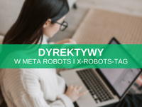 Meta robots i X-Robots-Tag - jak stosować dyrektywy określające indeksowanie i wyświetlanie strony w wyszukiwarkach?