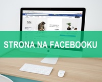 Strona na Facebooku - fanpage, strona firmowa na FB